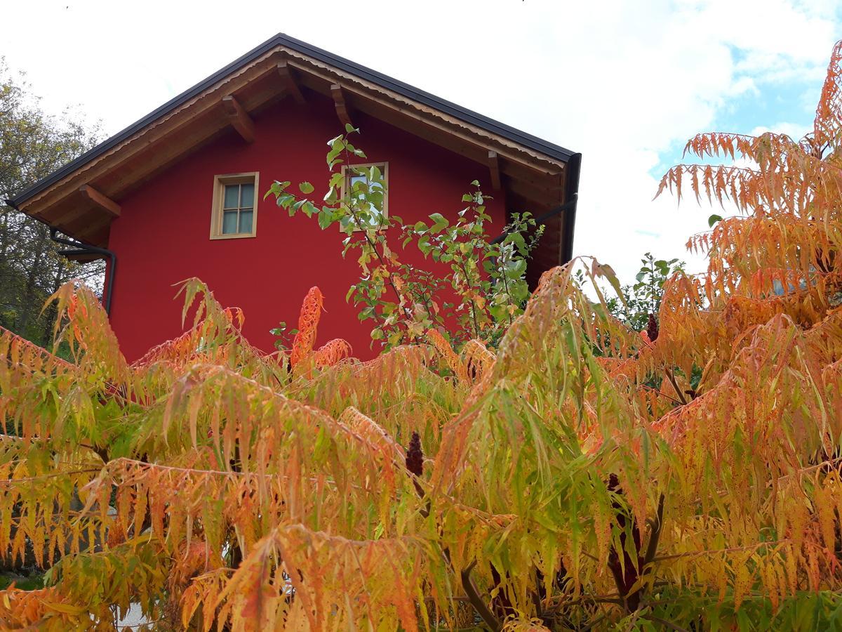 Activity Appartamento Vacanze Altspaur Exterior foto